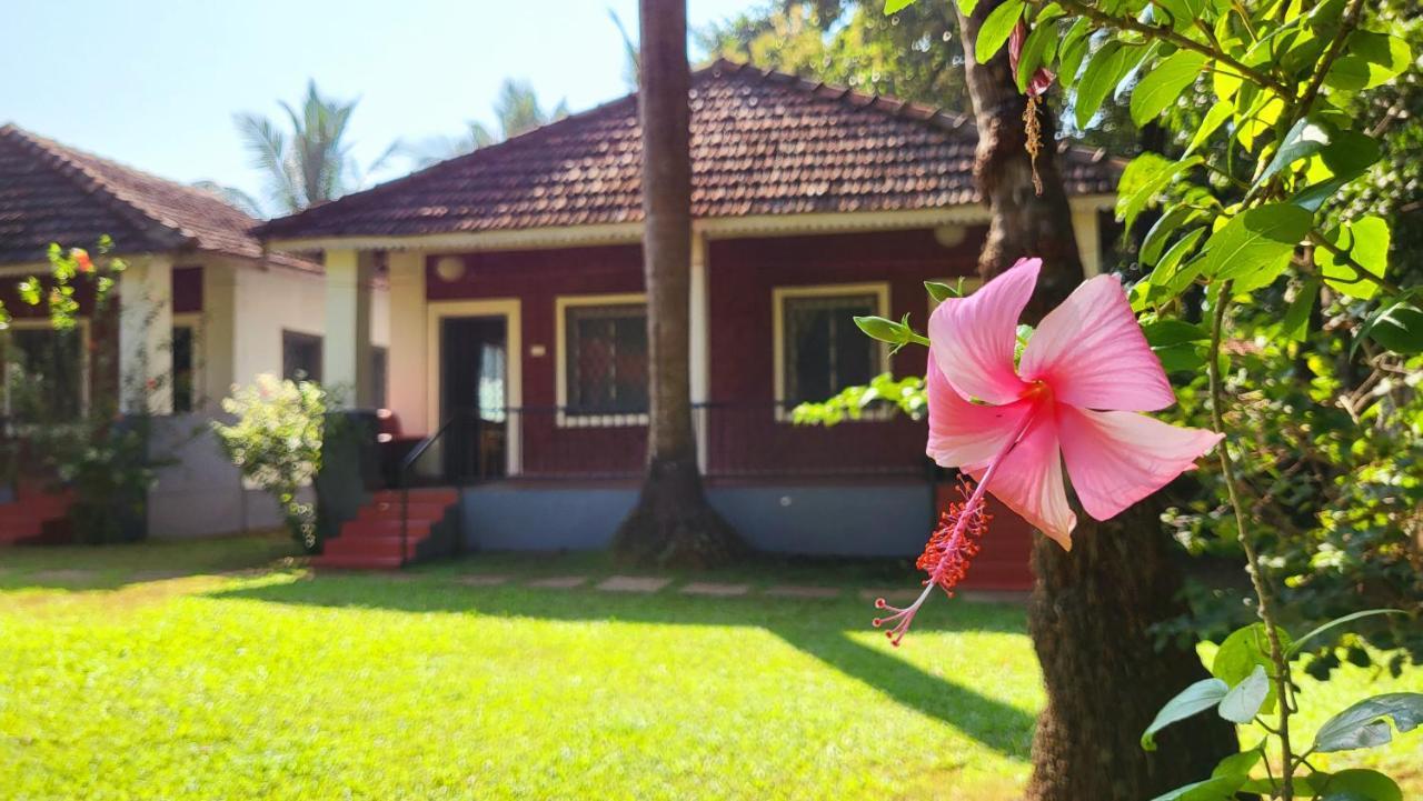 Garden Villa Vagator Luaran gambar